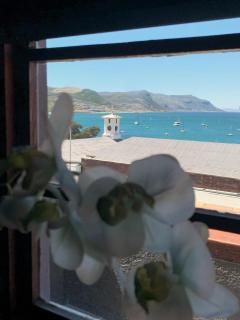 Eccentric Heritage Paradise Simon's Town - Simonʼs Town - 6