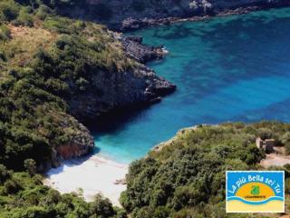 Blue Marlin - 3