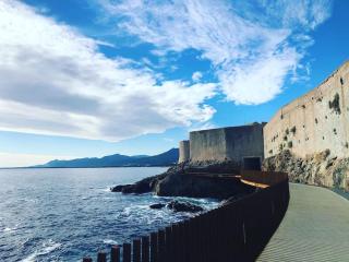 Bastia nid - 2