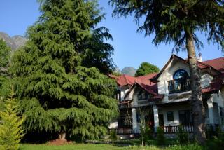 Soul's Abode - Srinagar - 9