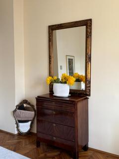 charming & lovely apartment downtown - Timişoara - 4