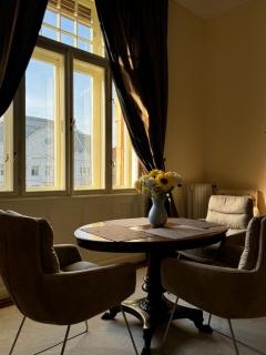 charming & lovely apartment downtown - Timişoara - 9
