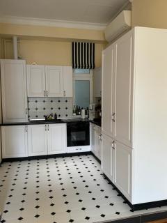 charming & lovely apartment downtown - Timişoara - 1