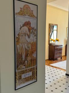 charming & lovely apartment downtown - Timişoara - 3