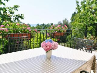 Charming Holiday Home with Terrace and Garden - Mošćenička Draga - 9