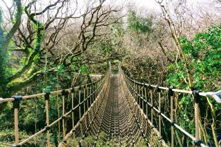 Fernwood - Clifden - 5