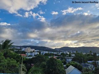 St Denis Jacuzzi Rooftop Vue Calme - 3