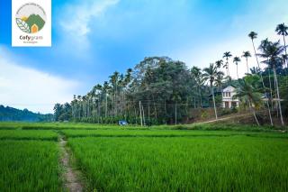 Cofygram cottages - Wayanad - 5