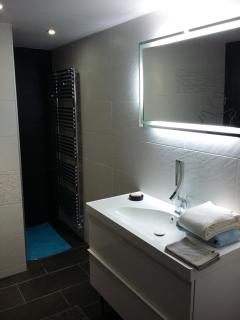 Appartement au bord de la Sèvre Nantaise - 8