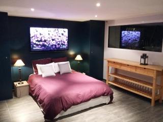 Appartement au bord de la Sèvre Nantaise - La Haie-Fouassière - 0
