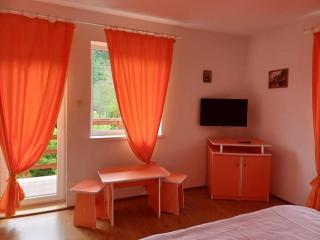 Pensiunea Andy Moieciu - 4