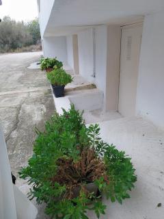 Nav Apart, Salamina - Paloúkia - 7