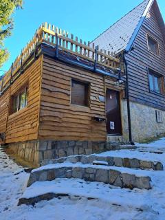 Villa Zagorka and mountain houses A, M, D - Kopaonik - 3