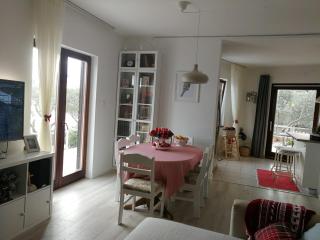 Apartmani Sandra i Davor Lonic - Kukljica - 3