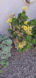 Apart Las Hermanas - 6