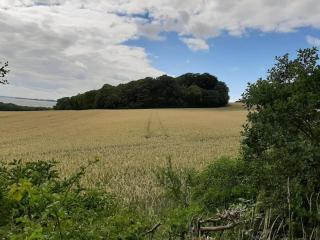 Lumsås stjerne - Nykøbing Sjælland - 2