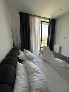 Villa Keto & Kote - Mtskheta - 6