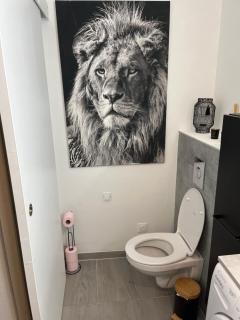 Suite Sanctuaire à Lourdes - Lourdes - 3