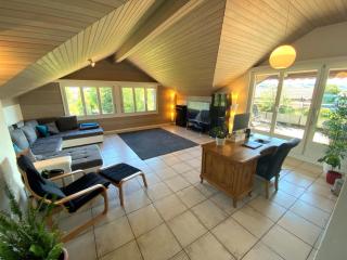 LakeVIEW Penthouse in the heart of Switzerland - Sempach - 0