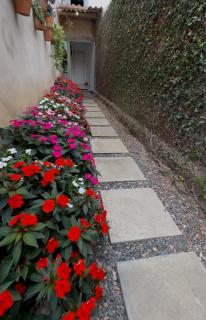 Flat das flores - Garanhuns - 8