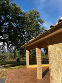 Le Querce - Montecchio - 8