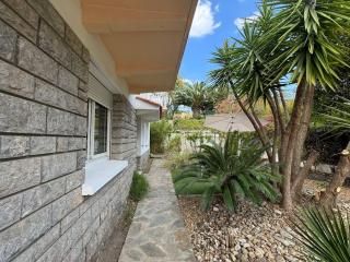 Le jardin d'Henri - Perpignan - 2