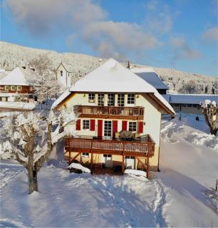 Ferienwohnung Lindenhof - Lenzkirch - 8