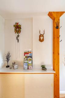 Schöne gemütliche Ferienwohnung unter dem Dach - Vöhrenbach - 3