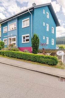 Schöne gemütliche Ferienwohnung unter dem Dach - Vöhrenbach - 8
