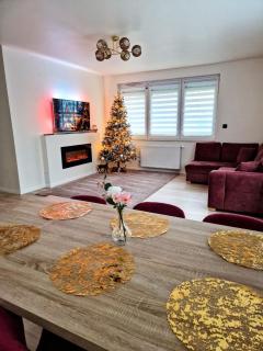 Comfortable flat with garden - Poznań - 7