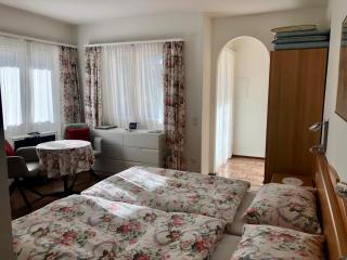 Casa Balwin, Juwel der Ruhe - Ponte Tresa - 0