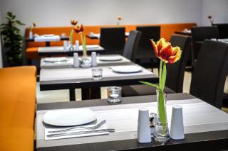 Hotel Go2Bed Weil am Rhein - Basel - Weil am Rhein - 2