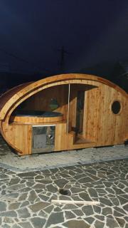 Pensiunea Poarta Maramureșana - Borsa - 2