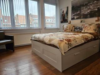 Friend House - Bruxelles - 8