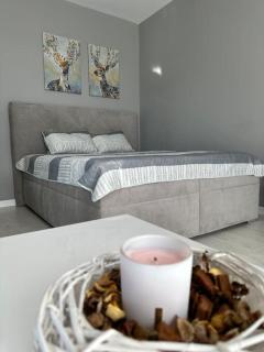 Aviației Luxury Cloud9 Pipera - Bucarest - 2
