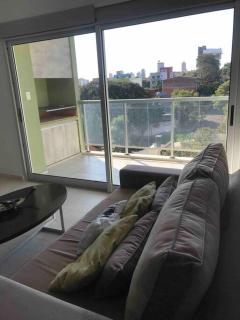 Departamento Citrino - 2
