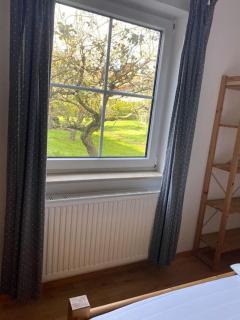 Rollstuhlgerechter Ferienbungalow in ruhiger Lage - Bad Harzburg - 3