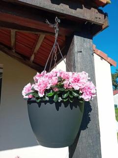 Gîte La Petite Roche - 4