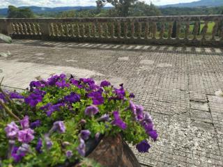 Total Tuscany Countryside - Terranuova Bracciolini - 4