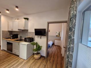 Silva Całoroczny Apartament na Wyspie Sobieszewskiej - Danzig - 8