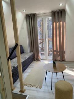 Planinska vila KTM Lisine - Despotovac - 4