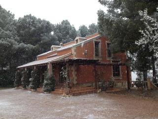 El Pinar de la Loma - Moratalla - 2