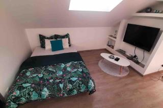 Loft Bellevue - Saint-Louis - 5