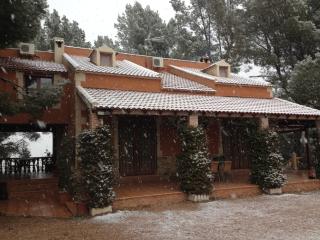El Pinar de la Loma - Moratalla - 3