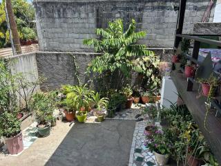 Chambre Bachacha - Dzaoudzi - 3