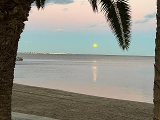 Beach apartment Torrevieja - Torrevieja - 5