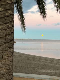Beach apartment Torrevieja - Torrevieja - 1