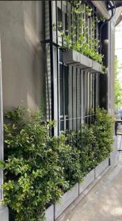 Le Petit Home en Almagro - 8