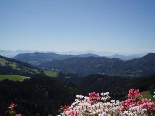 Gasthof Gutmann - Eberstein - 2