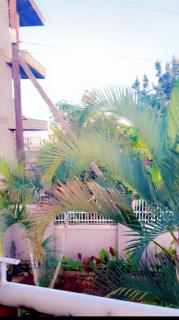 KED SAFARIS HOME Ug - Kampala - 6